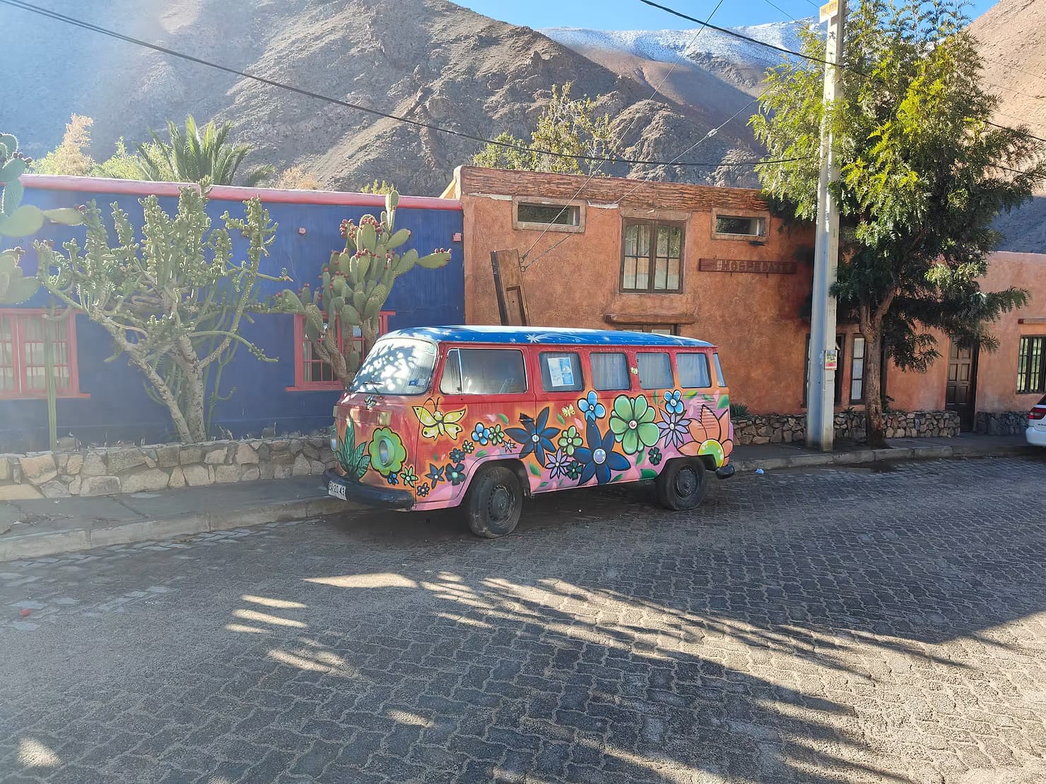 Scooby Doobie Doooo!