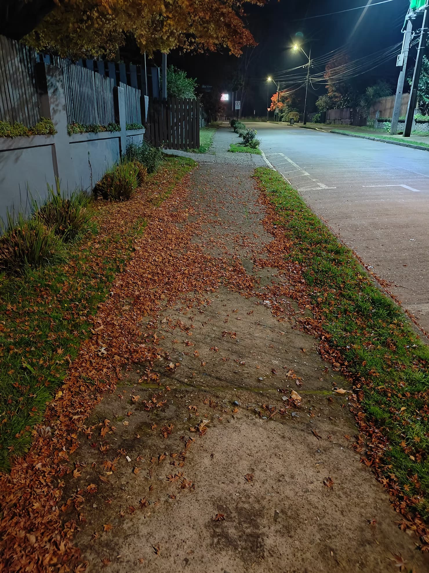 The attire of streets in the autumn